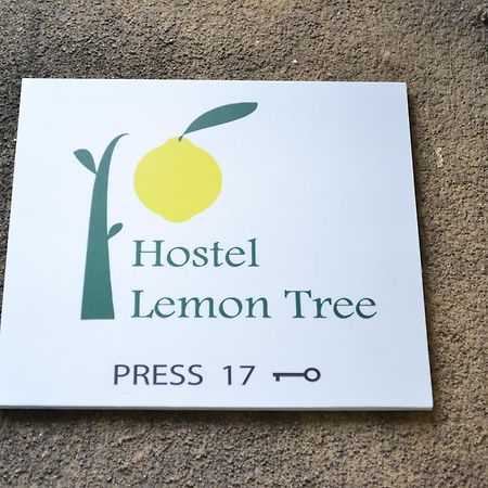 Lemon Tree Hostel Cracovia Esterno foto